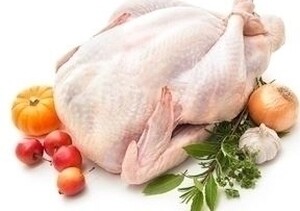 Shop for Kosher Chicken