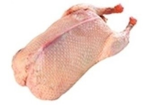 Shop for Kosher Duck